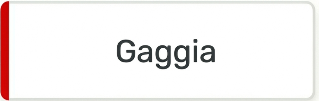 Ремонт кофемашин Gaggia